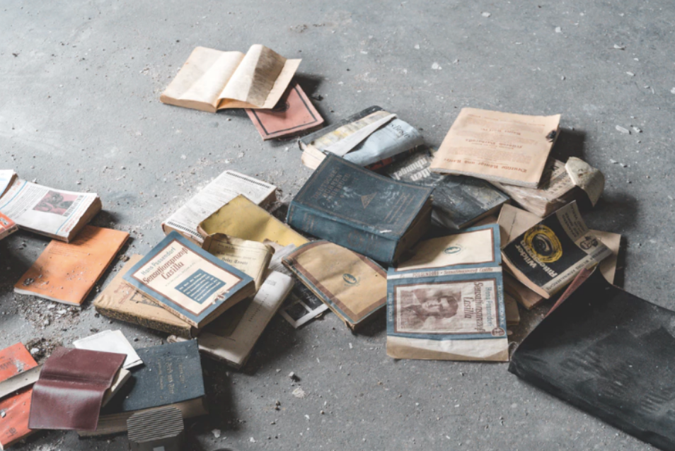 Wijsheid komt met de jaren. – Nanne van der Leer